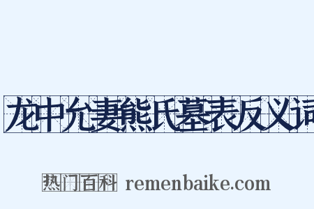 龙中允妻熊氏墓表反义词是什么意思的图片